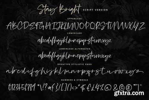 Stay Bright Font Duo Stay Bright Font Duo