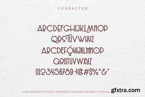 The Chocolate Type The Chocolate Type