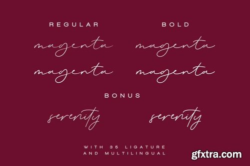 CreativeMarket Magenta - 3 Luxury Signature Font 3104959