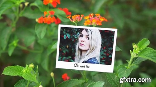 Pond5 - Photo Gallery On Summer Holiday 082150797