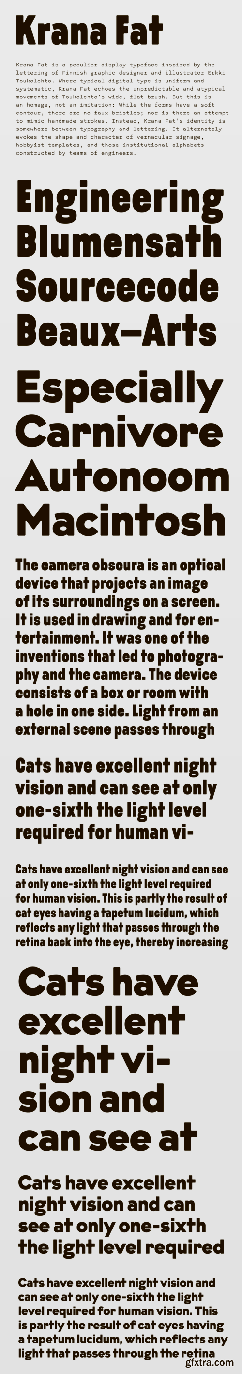 Krana Fat Font Family