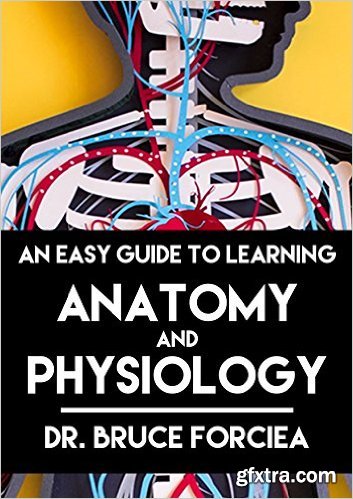 An Easy Guide to Learning Anatomy and Physiology