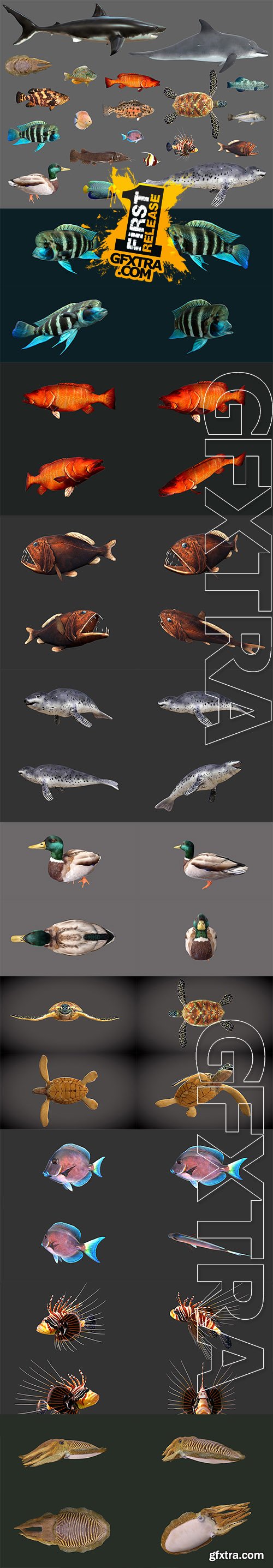 Cubebrush - Low poly Fish Collection Animated Pack 2