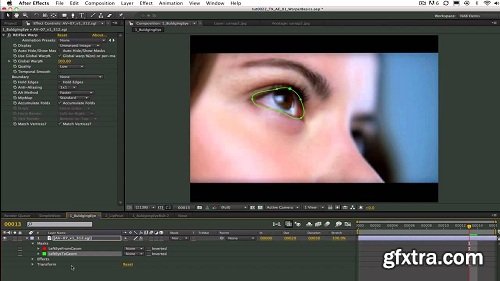 RevisionFX RE:Flex 5.3.0 for After Effects