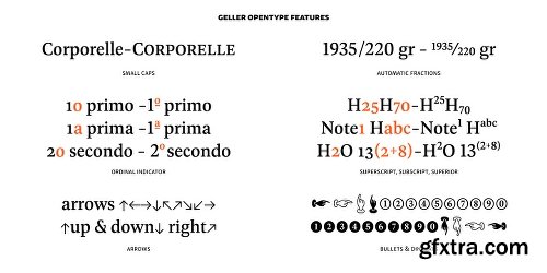 Geller Font Family - 20 Fonts