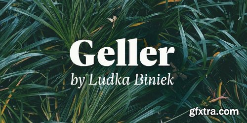 Geller Font Family - 20 Fonts