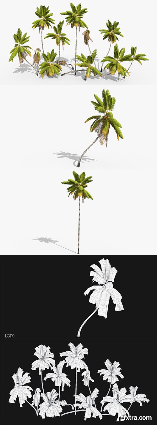 Cubebrush - Coconut Palm Trees Asset 1
