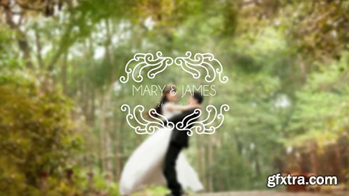 Pond5 - Premium Wedding Titles After Effect Template V20 098845534