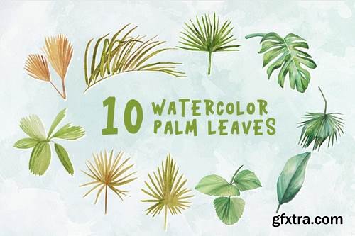 10 Watercolor Palm Leaves Illustration Graphics