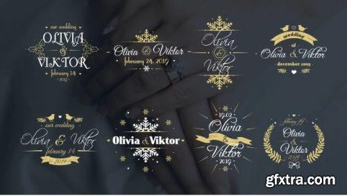 Elegant Winter Wedding Titles - After Effects 153064