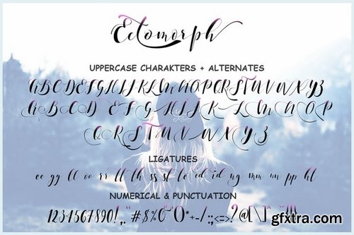 Ectomorph Script Font