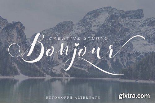 Ectomorph Script Font