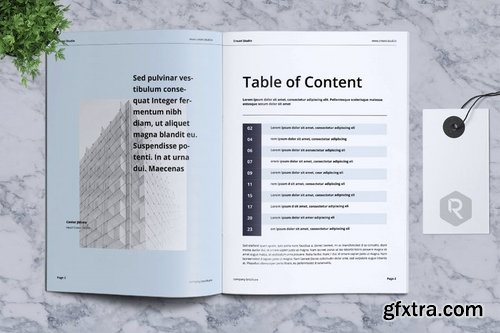 CREAVI Company Brochure