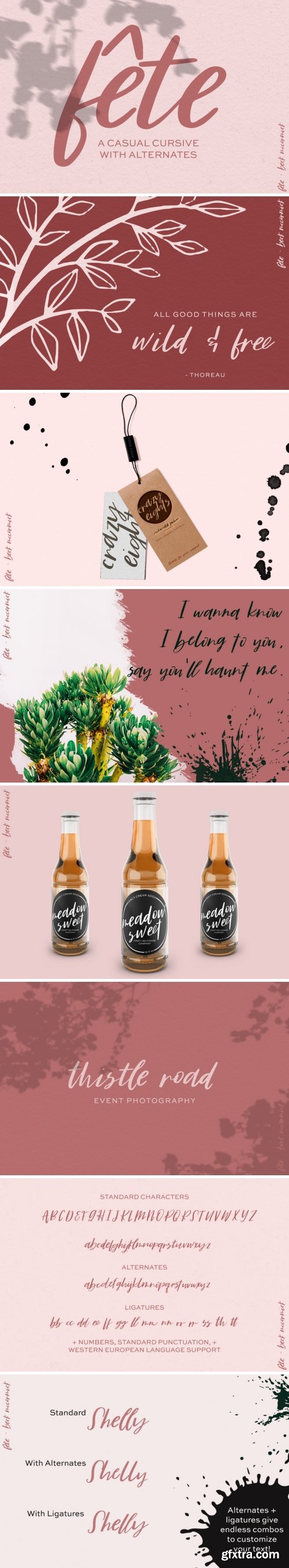 Fontbundles - F?te Script 188743