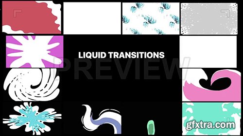 Mister Flash Liquid Transitions Pack 137075
