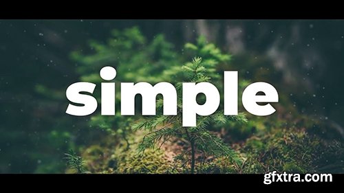 Simple Opener 139960