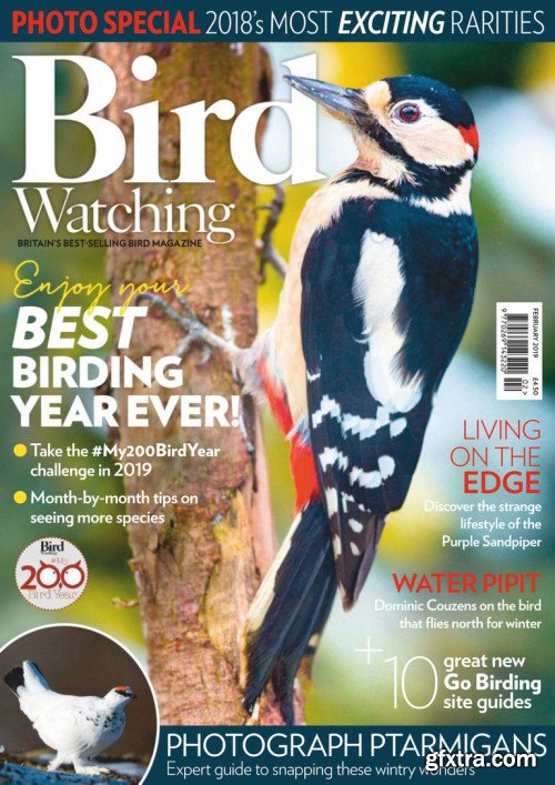 Bird Watching UK - February 2019