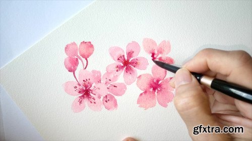 Cherry Blossoms with Round Brush