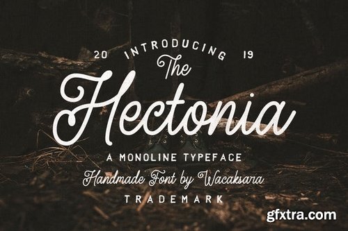 Hectonia Font