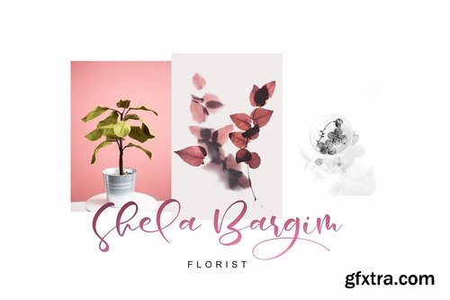 CM - Margreta Font 3385950