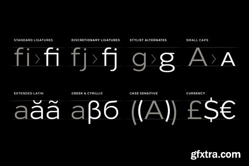 Loew Next Font Family