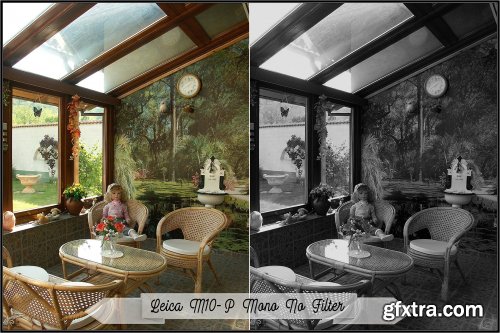 CreativeMarket - Leica Monochrome profiles LR ACR 3369370