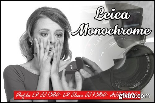 CreativeMarket - Leica Monochrome profiles LR ACR 3369370