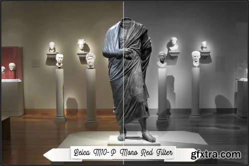 CreativeMarket - Leica Monochrome profiles LR ACR 3369370