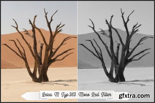 CreativeMarket - Leica Monochrome profiles LR ACR 3369370