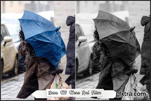 CreativeMarket - Leica Monochrome profiles LR ACR 3369370