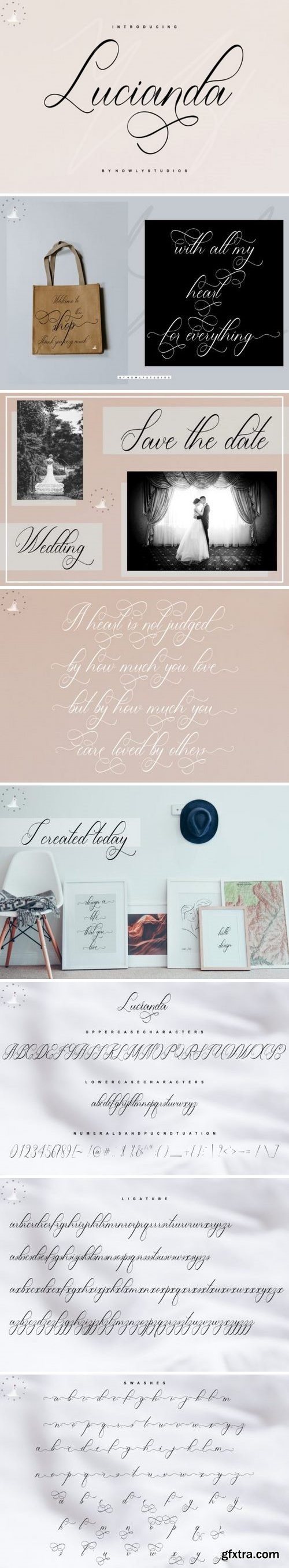 CM - Lucianda Script 3425128