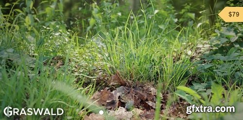 Blender Addons – Graswald and Cuber