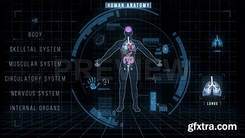 Futuristic Interface of Anatomy Systems 140271 Futuristic Interface of Anatomy Systems 140271