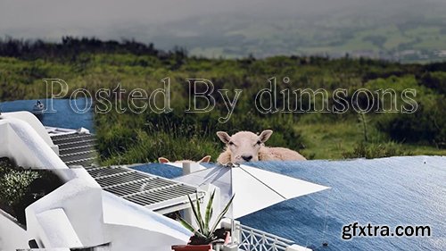 Brush Transitions 105762 Brush Transitions 105762