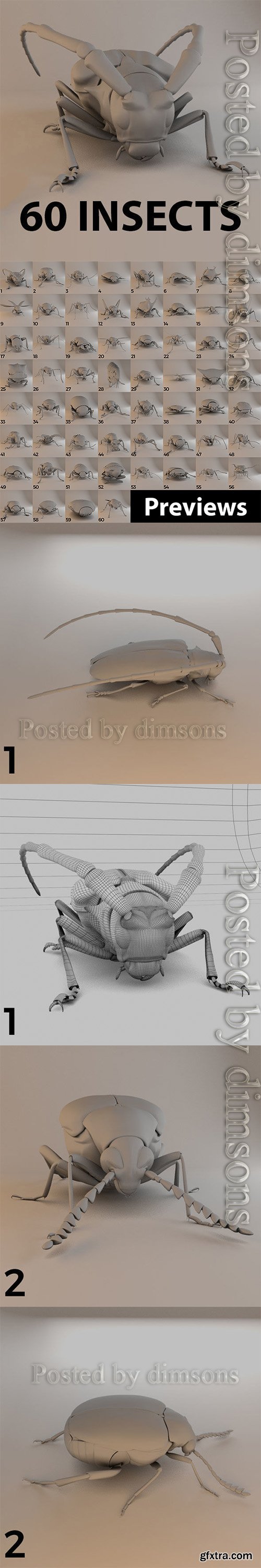 Cgtrader - Insects - Beetles Pack - 60 Species 3D model