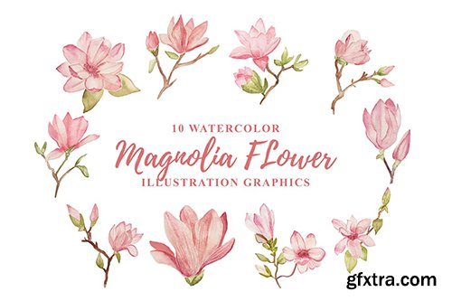 10 Watercolor Magnolia Flower Illustration Graphic