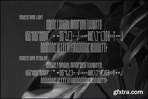 CM - NoiseStorm Font Duo 3527822