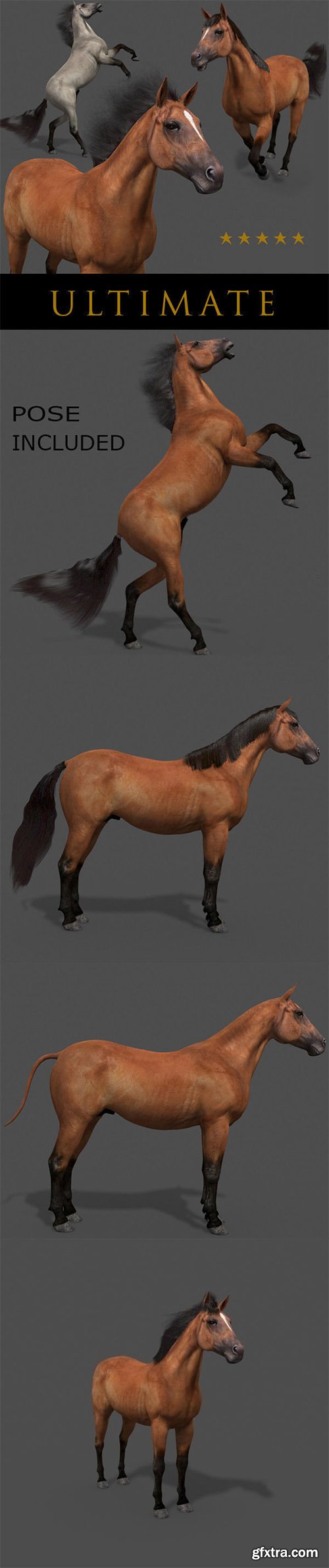 Cgtrader - Ultimate Horse Collection - 3d model