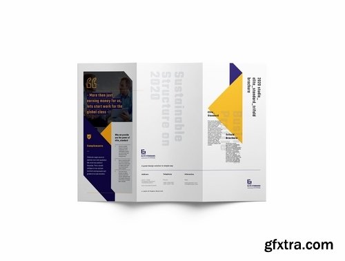 Trifold Brochure