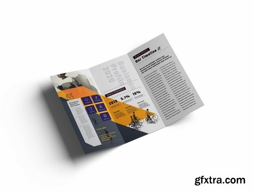 Trifold Brochure
