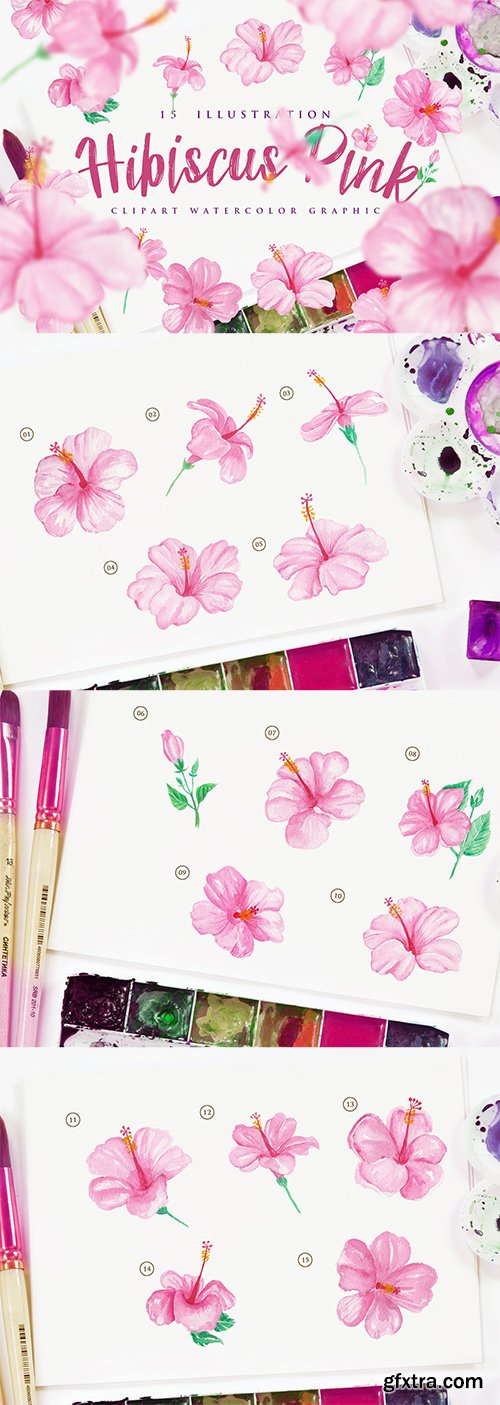 15 Watercolor Hibiscus Pink Flower Illustration 15 Watercolor Hibiscus Pink Flower Illustration