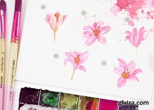 15 Watercolor Lily Brindisi Flower Illustration