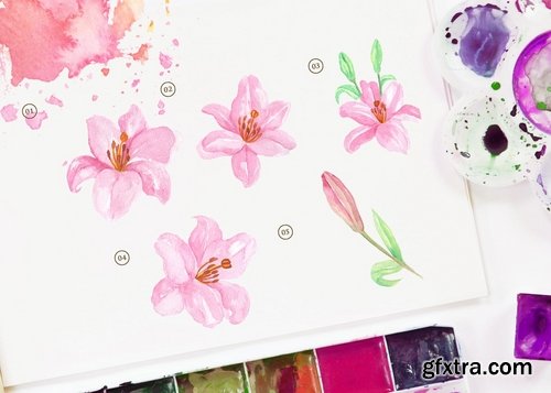 15 Watercolor Lily Brindisi Flower Illustration