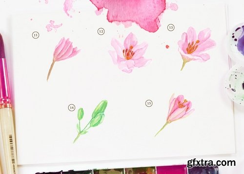 15 Watercolor Lily Brindisi Flower Illustration