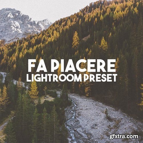 Walter Quiet - Preset vintage 