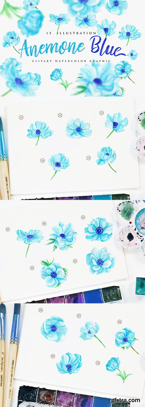 15 Watercolor Anemone Blue Flower Illustration 15 Watercolor Anemone Blue Flower Illustration