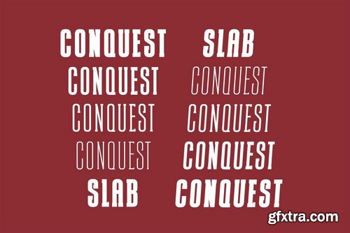 CM - CONQUEST Sans & Slab Serif 3570874