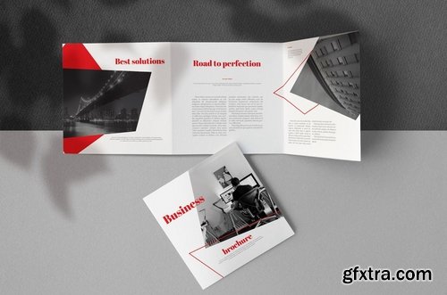 Business Brochure