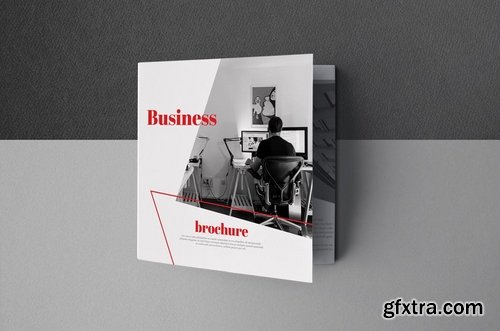 Business Brochure