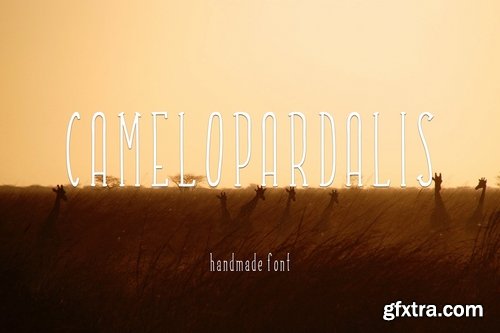 Camelopardalis Font